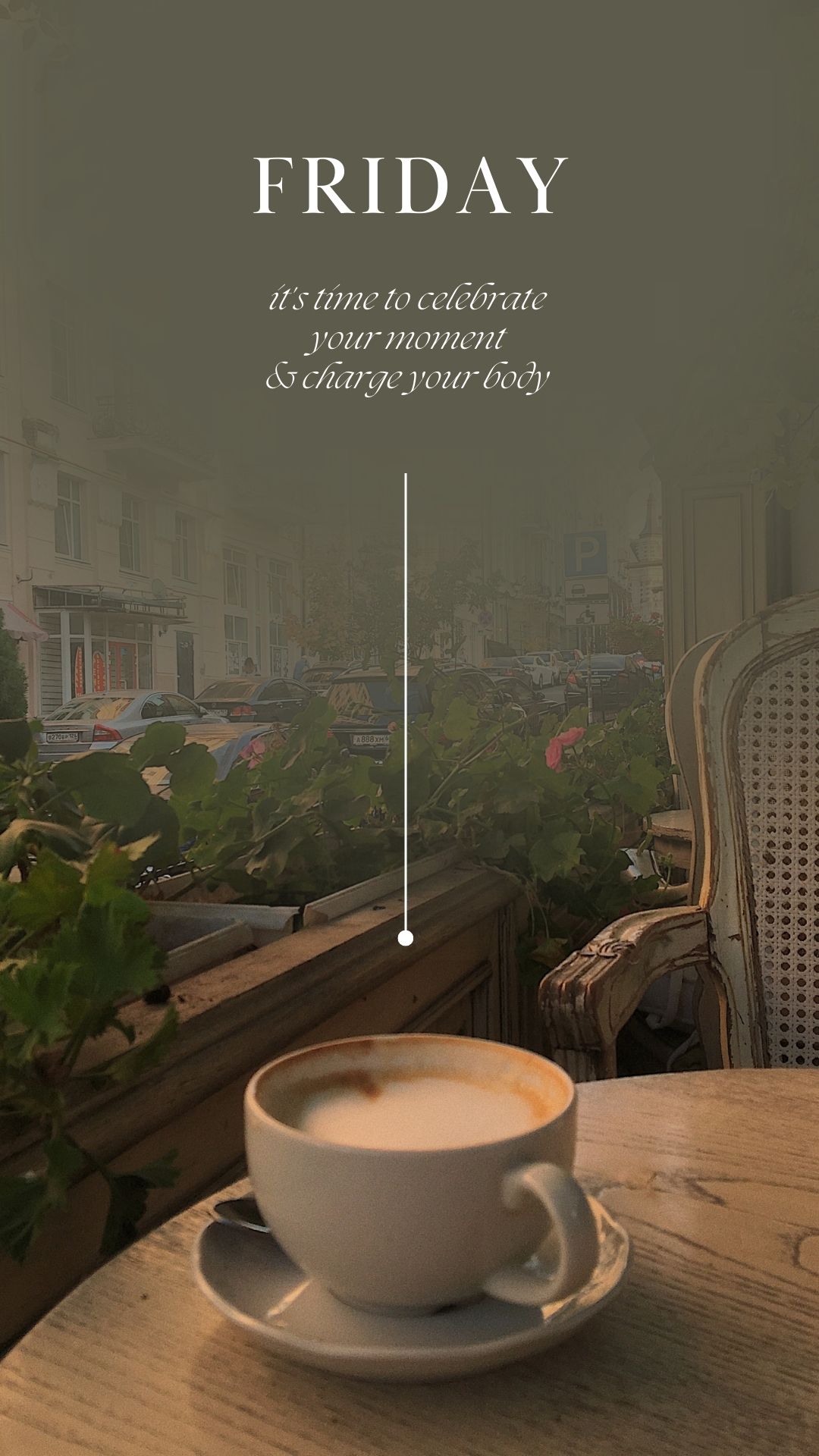 Hạt Cà Phê Xuất Sắc và Nguồn Gốc Chất Lượng