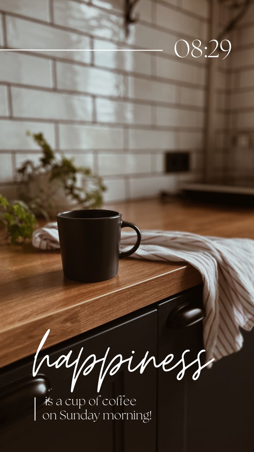 Quy Trình Chế Biến Tinh Tế và Bền Vững